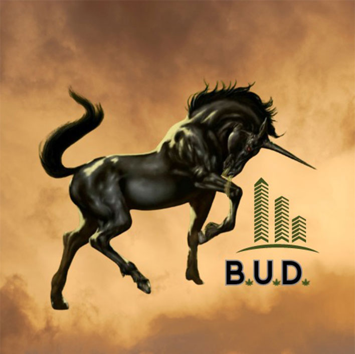 CDS Consulting Group image B.U.D.